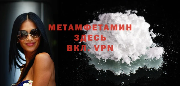 прущие грибы Белокуриха
