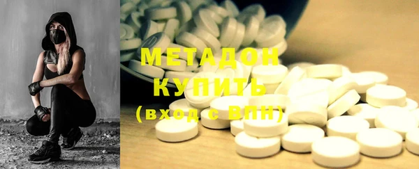 прущие грибы Белокуриха