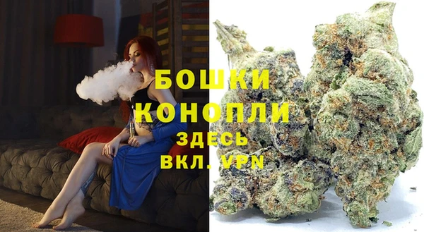 прущие грибы Белокуриха