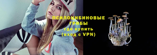 PSILOCYBIN Беломорск