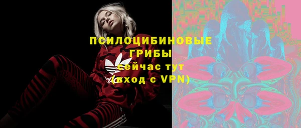 прущие грибы Белокуриха