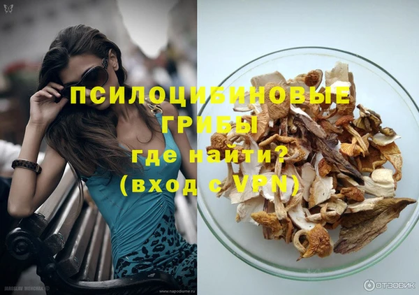 PSILOCYBIN Беломорск