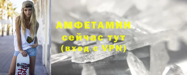 прущие грибы Белокуриха