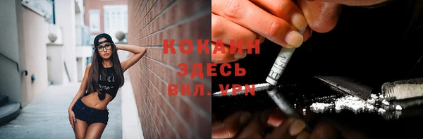 прущие грибы Белокуриха