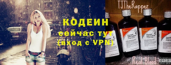 прущие грибы Белокуриха