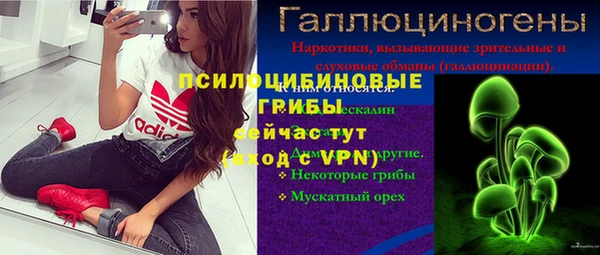 прущие грибы Белокуриха
