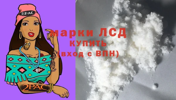 PSILOCYBIN Беломорск